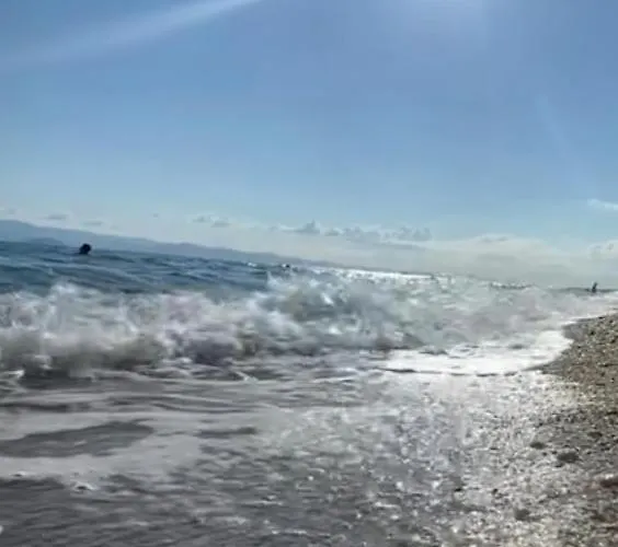 For Tourist גולם